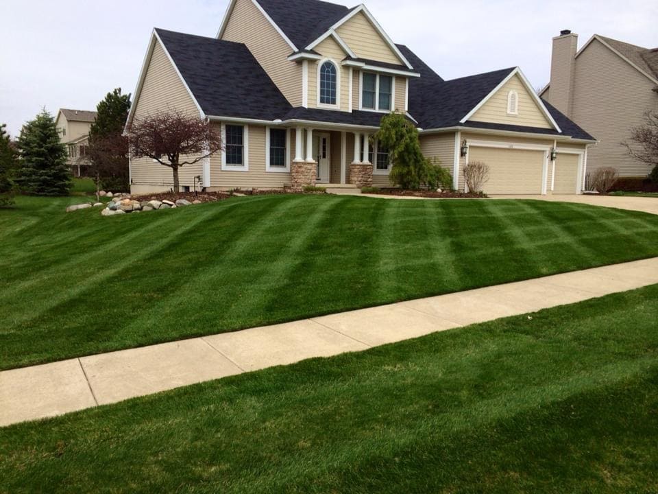 Painting Services Image 2